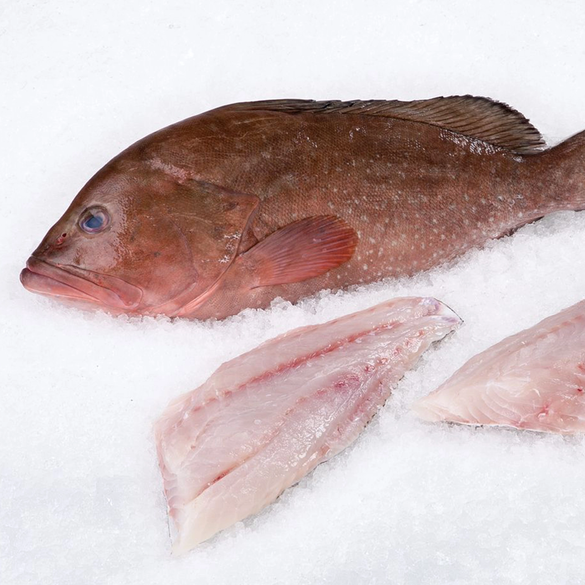 Grouper Frozen Stoke Cut (1lb)